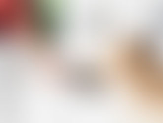 Testing food - A person in a red shirt feeds a golden retriever from a metal bowl