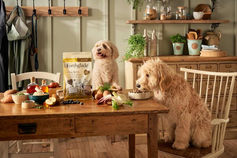 two dogs sitting at a table with forthglade dog food in a farmhouse setting