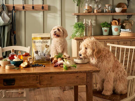 two dogs sitting at a table with forthglade dog food in a farmhouse setting