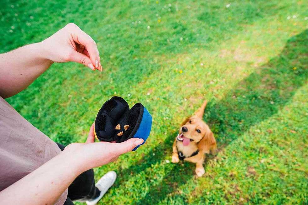 Tug-E-Nuff interactive dog toy - The Clam