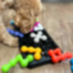 dog playing with a large Kanoodle puzzle toy