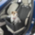 MuttStuff & Co dog car seat