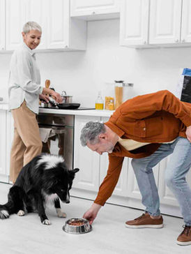 lady and man feeding dog in a kitchen