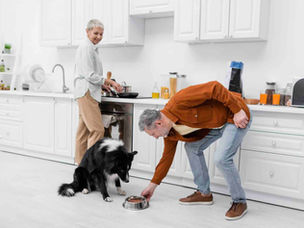 lady and man feeding dog in a kitchen
