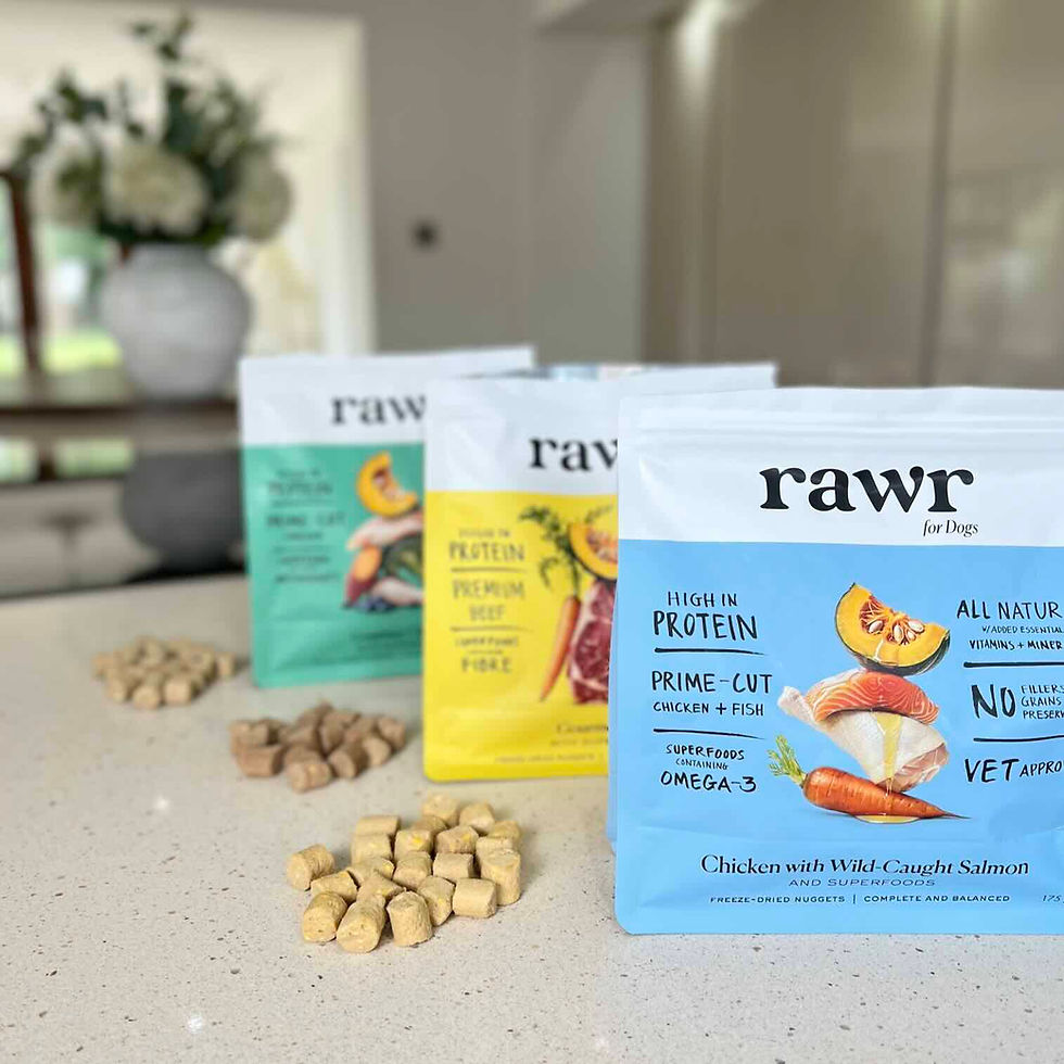 Three colorful Rawr for Dogs food bags on a kitchen counter with frozen nuggets scattered in front, product text visible.