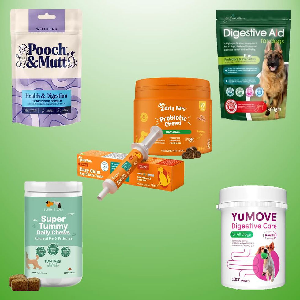 Selection of 5 of the best probiotics brands for dogs