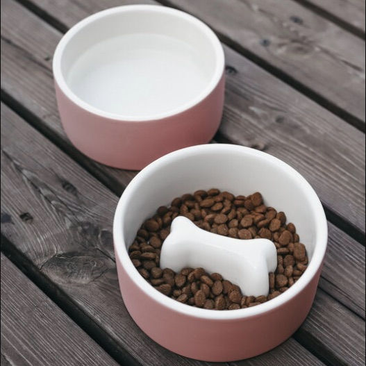 Magisso cooling bowl for dogs