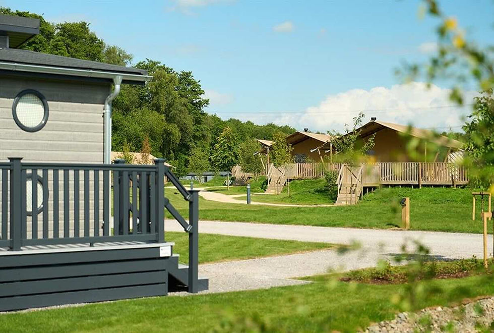 Cabin with gray railing in the foreground, safari tents in the background on a sunny day. Green grass and trees surround the setting.