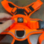 Grab handle on harness for additional control