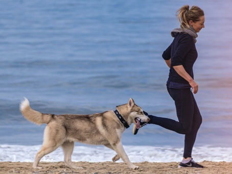 woman and dog running on beach