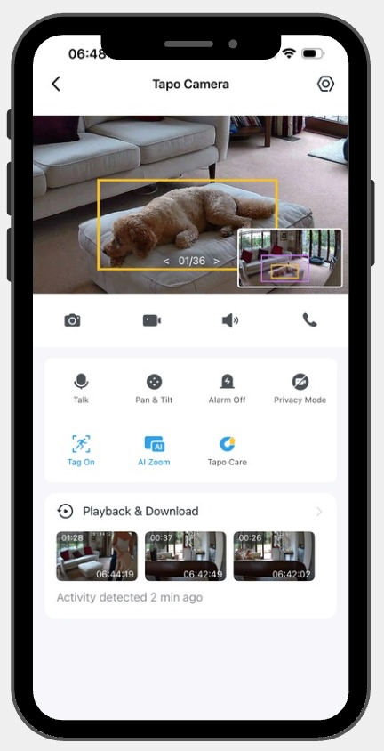 Tapo Camera app on a phone shows a sleeping dog on an ottoman in a living room, with activity detected and playback thumbnails.