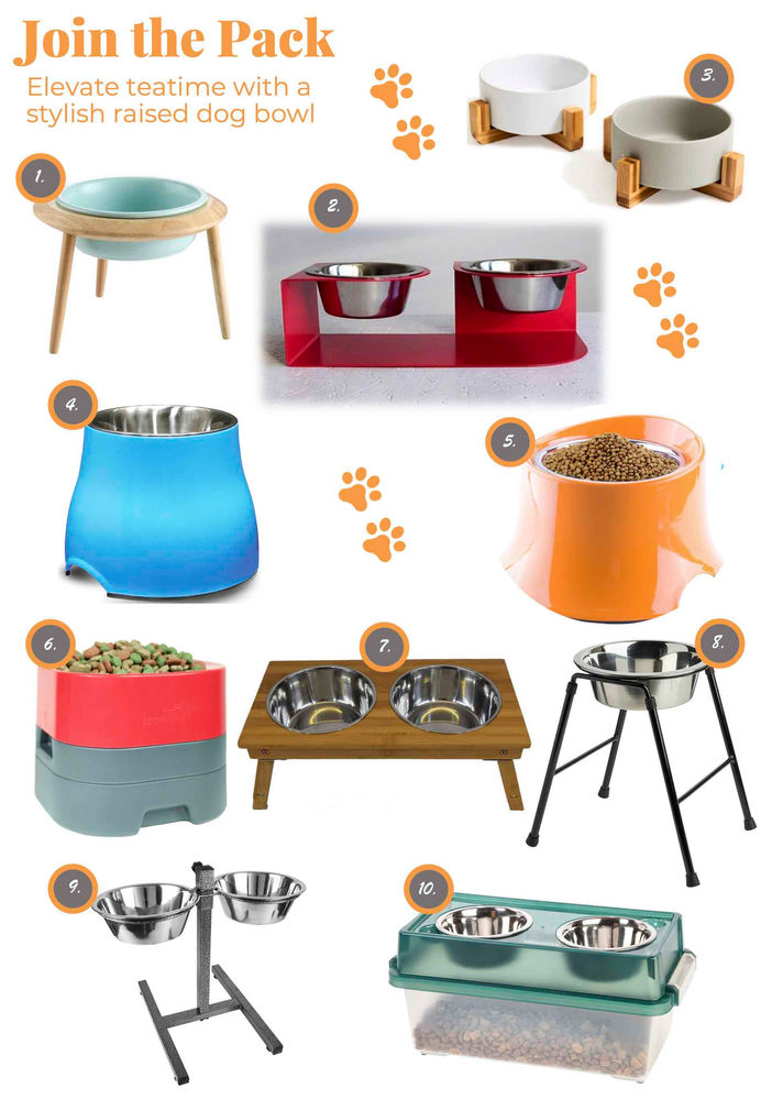 Top 10 Raised Dog Bowls Dog Bowl Stand Smart Bark