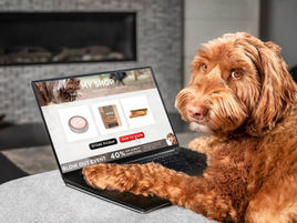 dog ordering dog food online