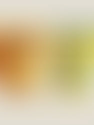 Tuggs dog food range