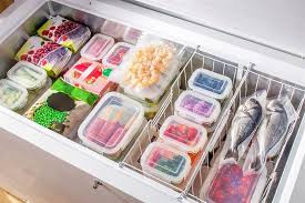 DOG FOOD IN A FREEZER