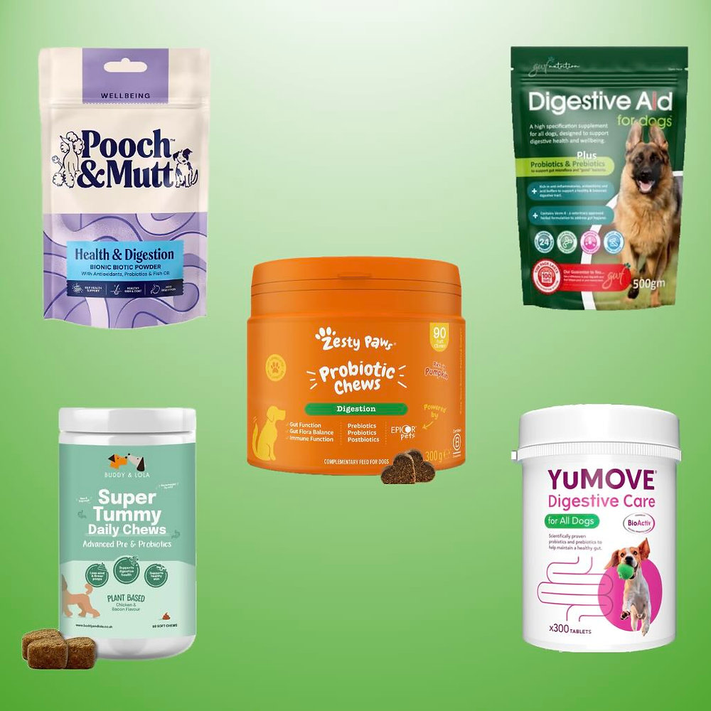 Probiotics and pet gut health, what you need to know Probiotics and pet gut health, what you need to know