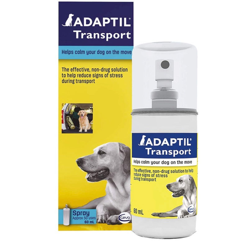 Dog Car Sickness How to Cure Dog Travel Sickness Smart Bark