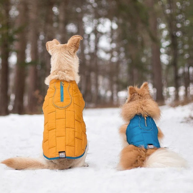 waterproof coats for cockapoos