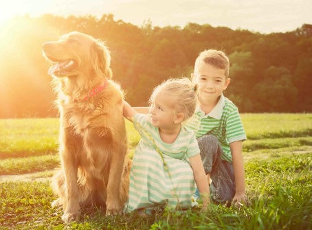 Best Dog Activity Trackers Tested 2025 : Fitbit for Dogs