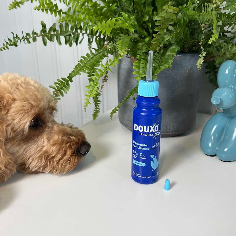 Douxo Spa Ultra Safe Ear Cleaner for dogs