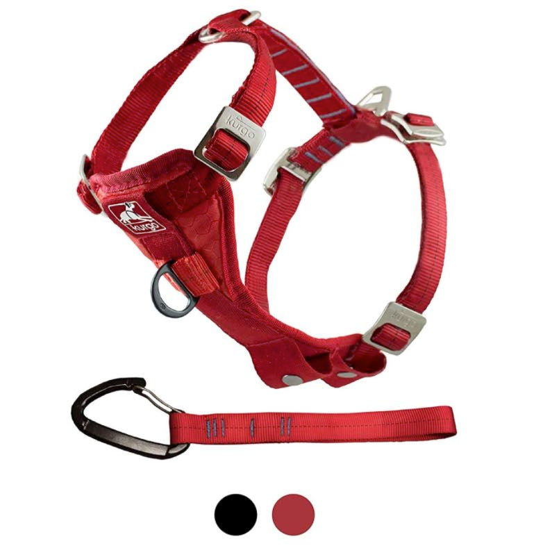 Bringing a Puppy Home UK Transport a Puppy in a Car Smart Bark