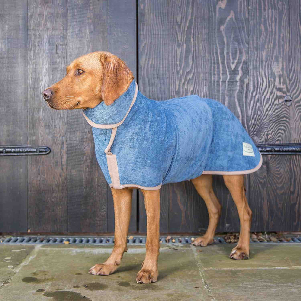 Mud Daddy Review Portable Dog Shower Smart Bark