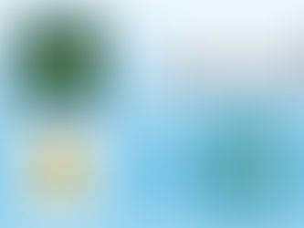 Best Raw Dog Foods : Tested & Reviewed for 2026