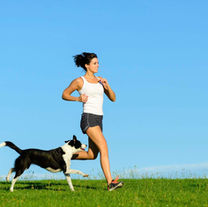 Best Joint Supplements for Dogs 2026