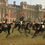 Thumbnail: William Britain 3 x Lead/Metal Mounted Figures  54mm Horse Guards