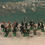 Thumbnail: Waterloo 1815  Painted Set 028  Napoleonic Mounted Line Officers