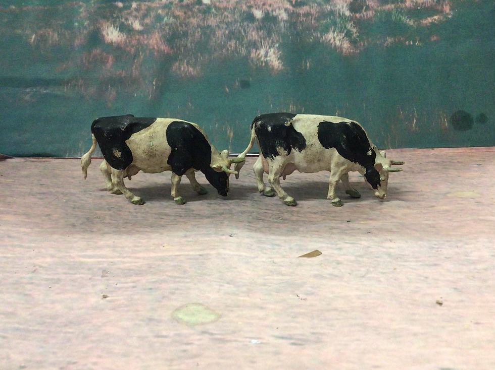 Thumbnail: Britains Ltd Made in England 2 x Freisan Cows 1969