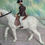 Thumbnail: Vintage Britains LTD Show Jumping Horse and Teen Girl Rider