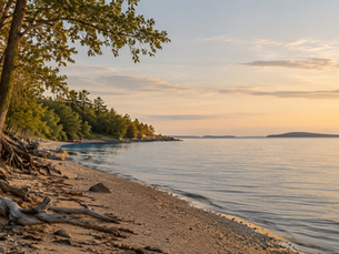 Quiet shoreline at golden hour
