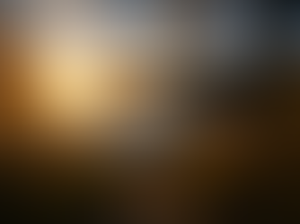 Golden sunset reflecting across a quiet lake surrounded by trees