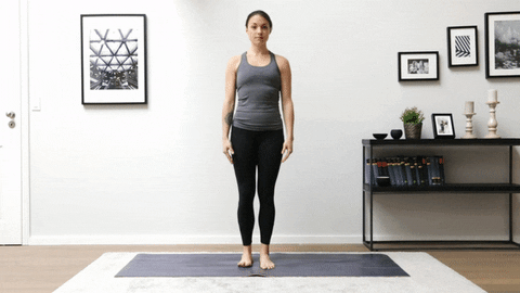 Fit exercices