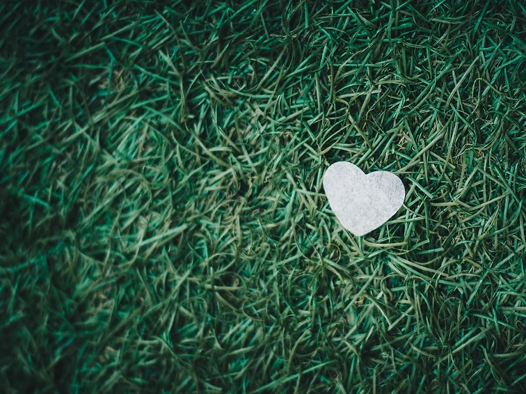 Image by Isaac Benhesed, heart in grass.webp