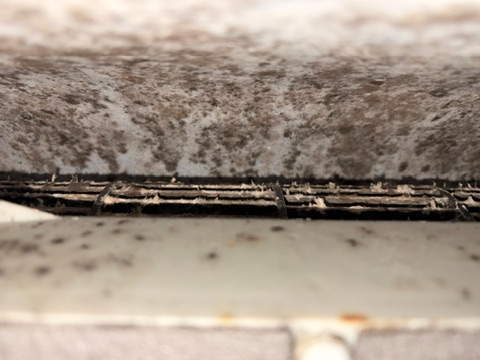 天井1方向エアコン 熱交換器 ホコリ・カビ汚れ 洗浄前 アップ