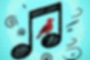 VOICE EXPLORATIONS