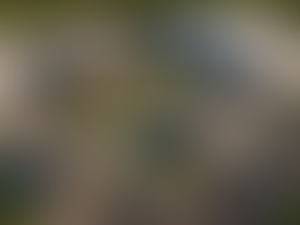 What’s Next for CLT Shooters: Our Roadmap Moving Forward