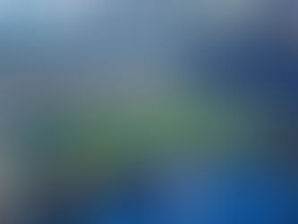 a photo showing the field of bank of america stadium for a panthers game.