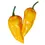 Thumbnail: Black Garlic & Datil