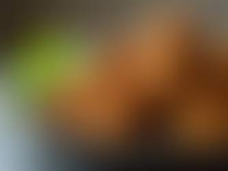 Nutritional Value of Falafel Explained