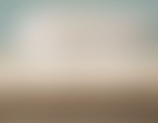 Grupo Matt destaca por exportar colchones a EE. UU.