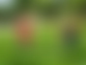 Foragro fortalece asistencia a productores agrícolas
