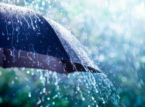 ¿Cómo proteger su hogar o negocio de descargas eléctricas?