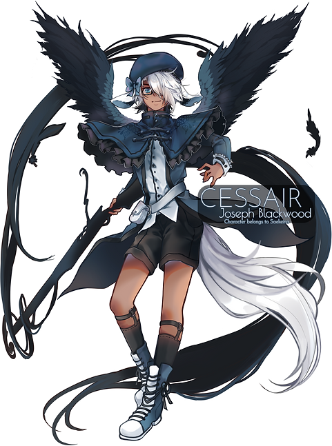CESSAIR 21.png