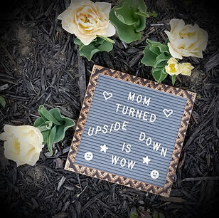 Limited Edition Hand Woodburned Art- Customizable baby elephants changeable felt letter board set with stand - Top quality gray felt and solid oak wood