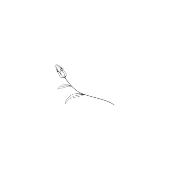 Instagram Post (36).png