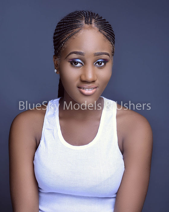 E-catalogue of BlueSky Models&Ushers.
