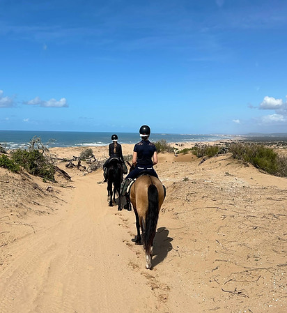 Randonnée et balade à cheval sur la plage et les dunes d'Essaouira